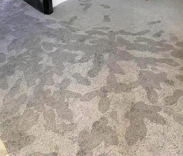 Dallas water damage to carpet