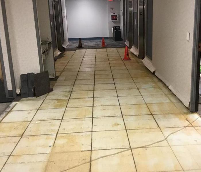 Commercial Building Floor Lobby With Carpet Removed and Dry