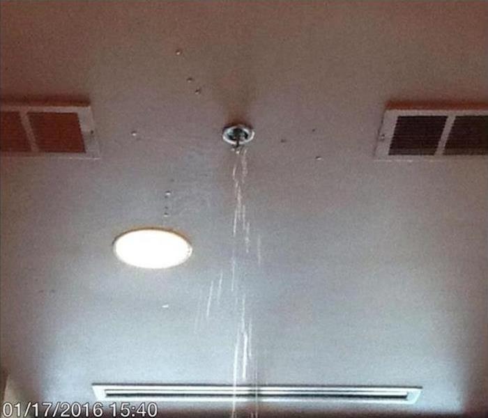 Dallas sprinkler commercial water damage