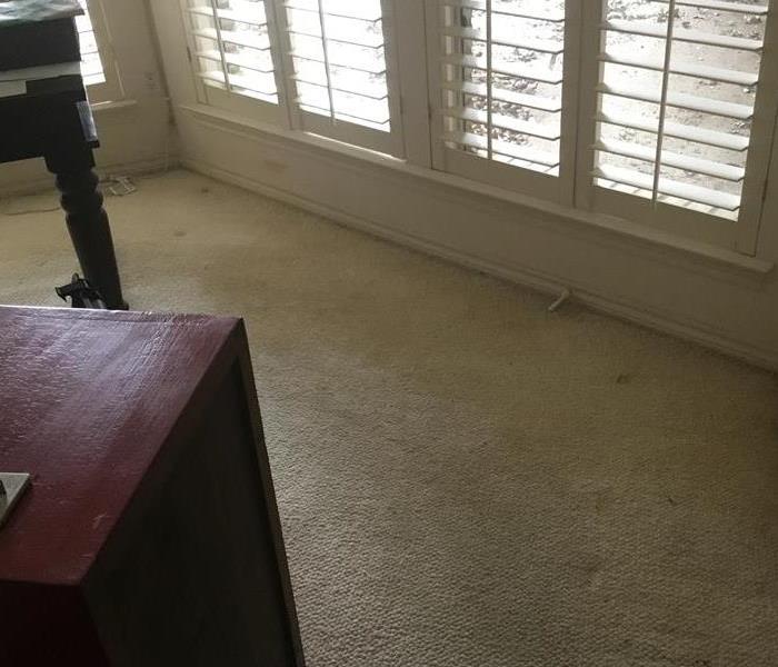 Water damaged carpet from leak after storm