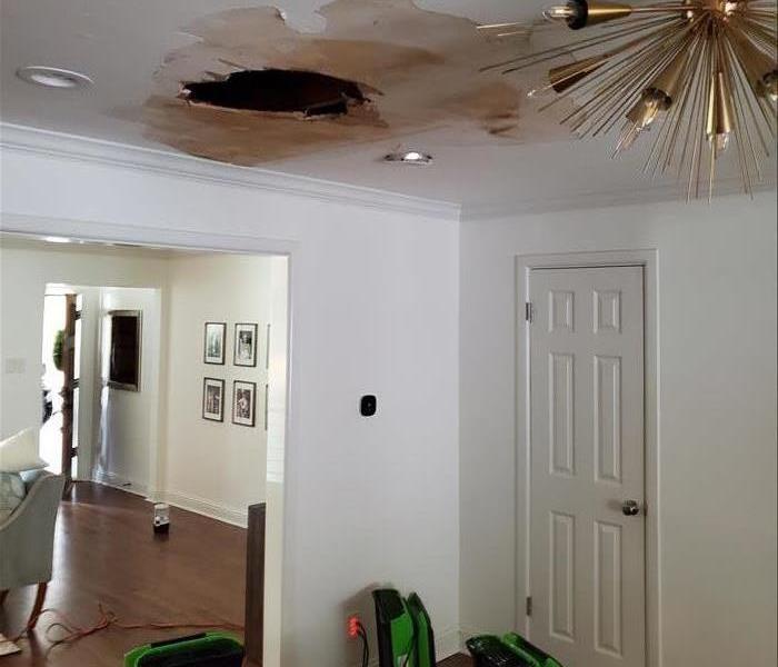 NE Dallas Water Damage Due to Rodent!